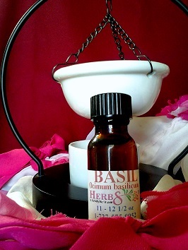 Basil Essential Oil (Ocimum basilicum) 1/2 oz